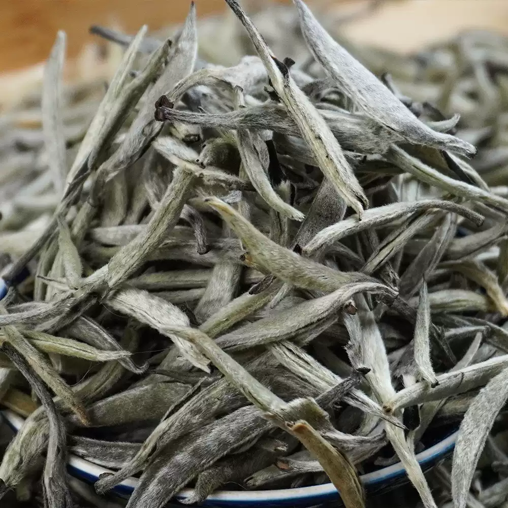 What is white tea