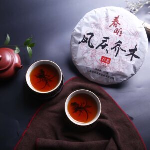 凤庆乔木春蕊（熟茶）Fengqing Arbor Spring Tips Pu-erh Tea (Ripe Tea)