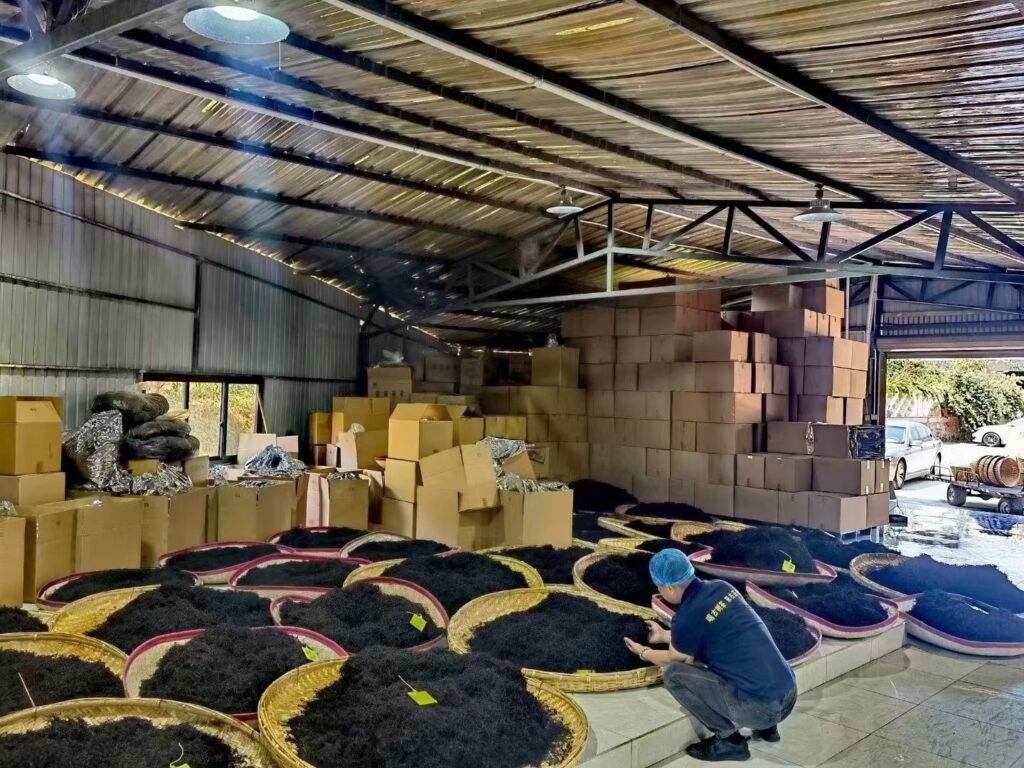 Puerh Tea Production Process