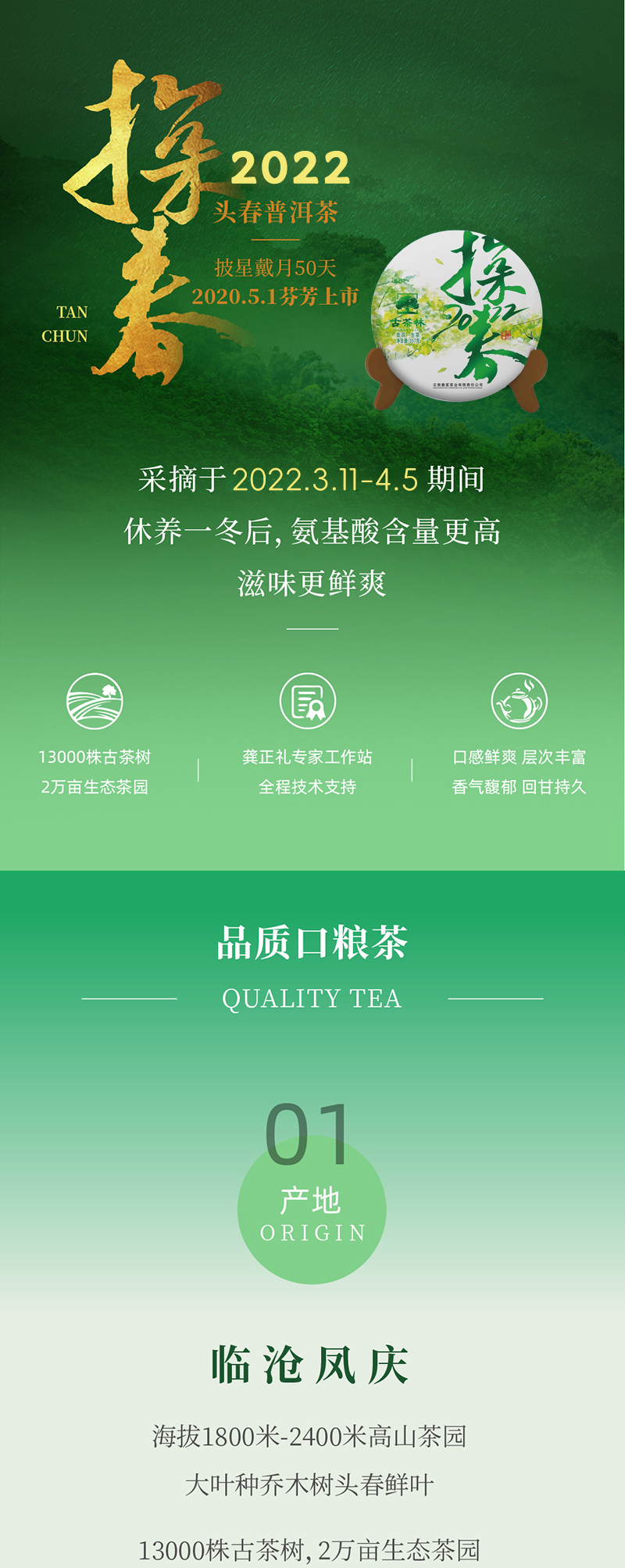 Puerh Tea