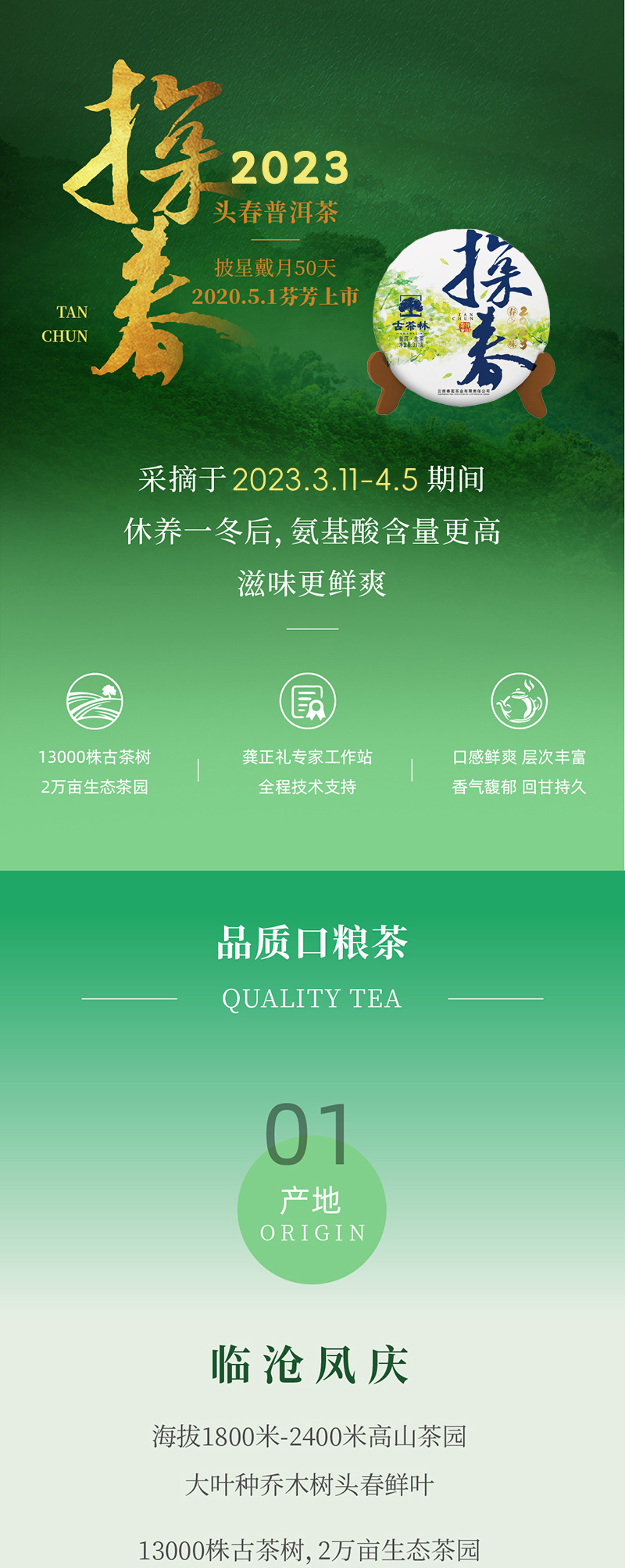 Puerh Tea 