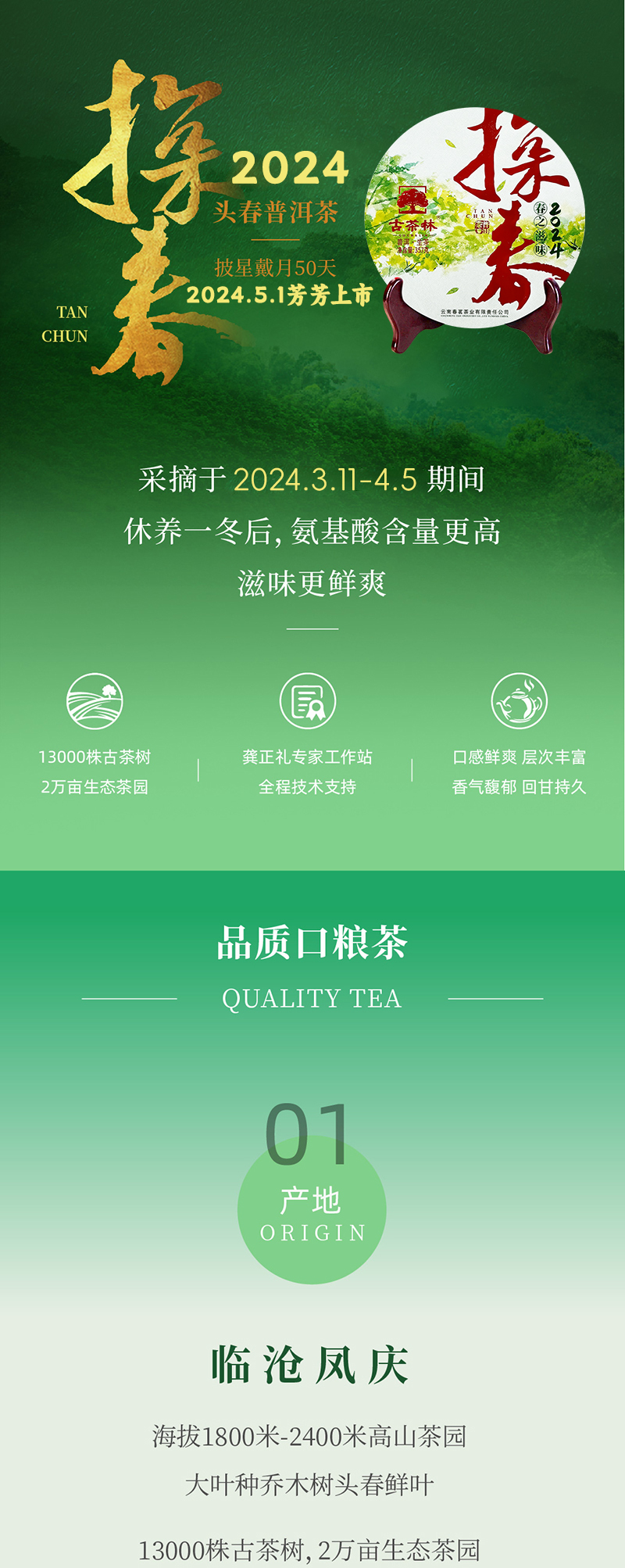 Puerh Tea