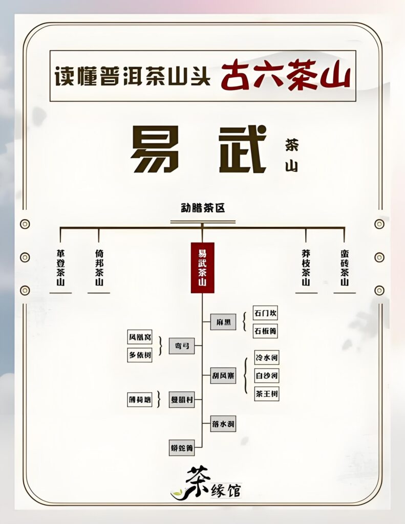 Yiwu Mountain Pu-erh Tea