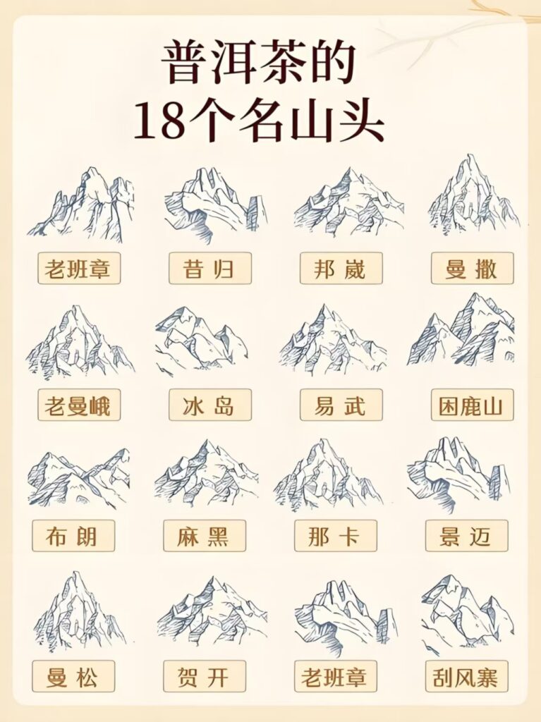 Yiwu Mountain Pu-erh Tea