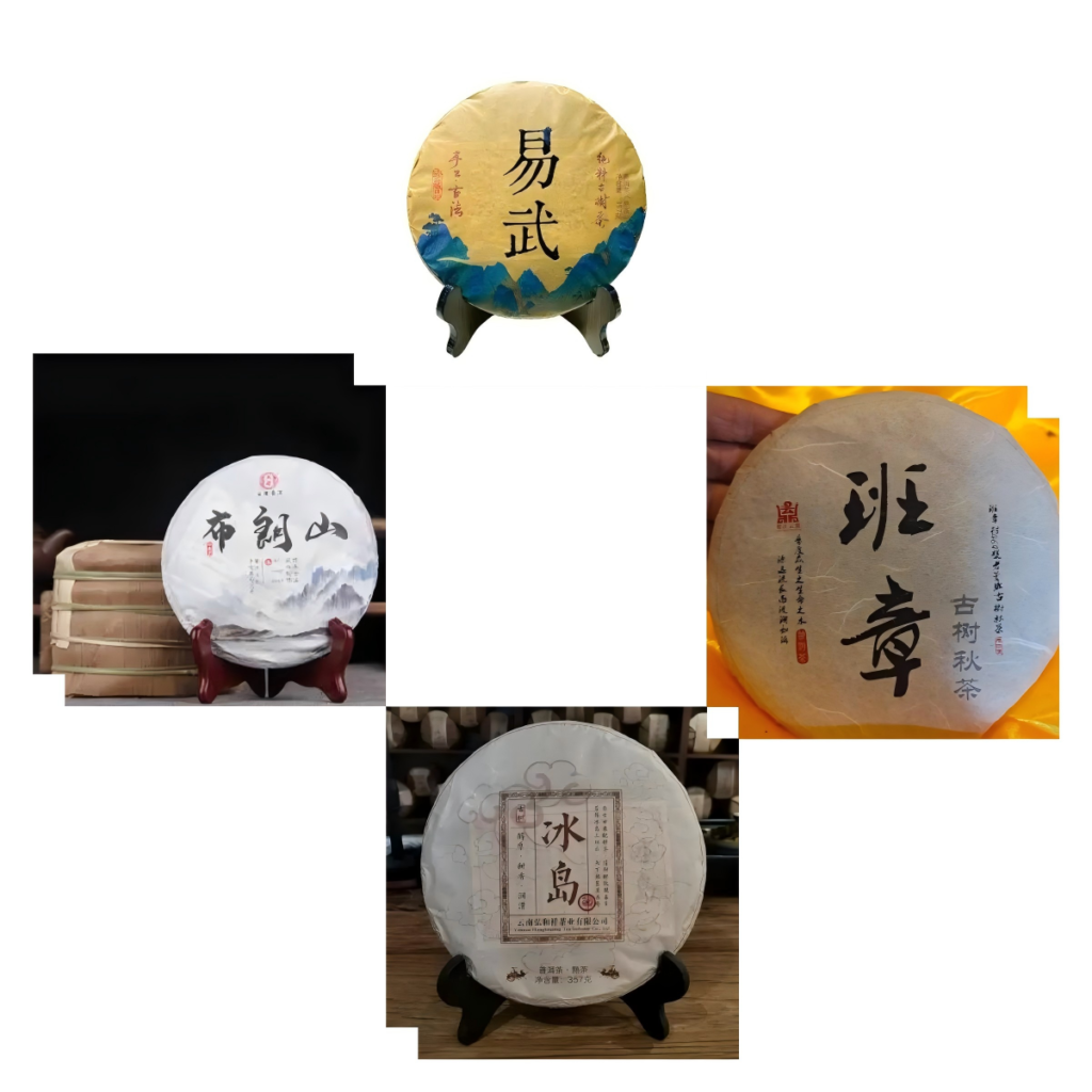 The Value of Pu-erh Tea