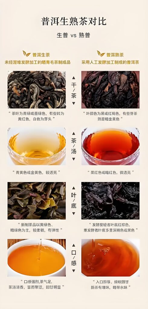 Yiwu Mountain Pu-erh Tea