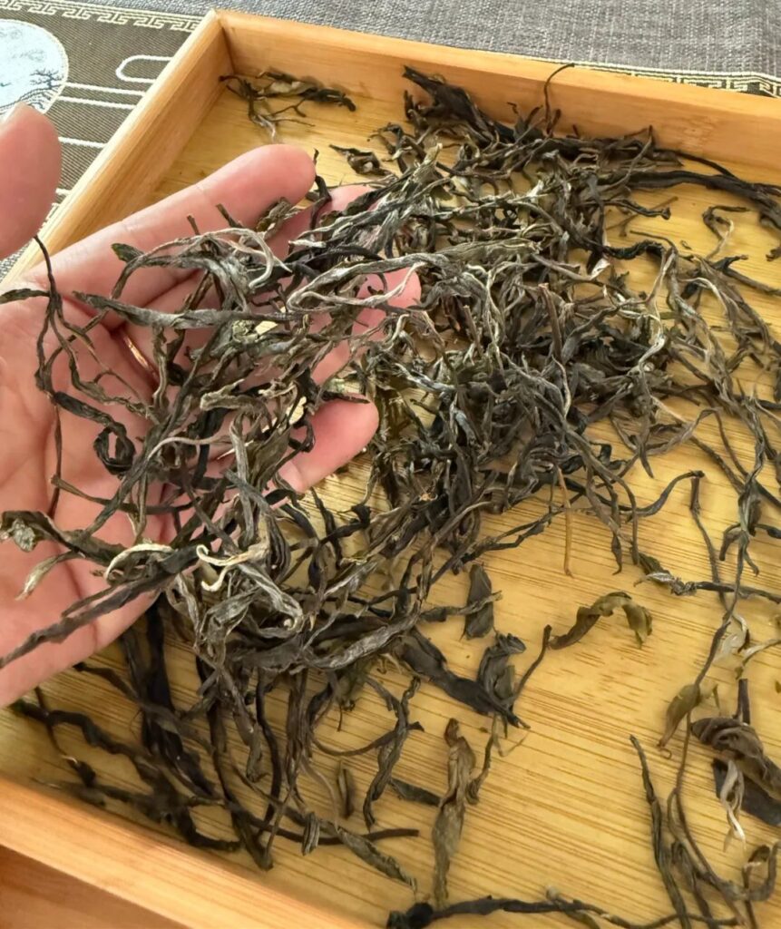 Xigui Pu-erh Tea