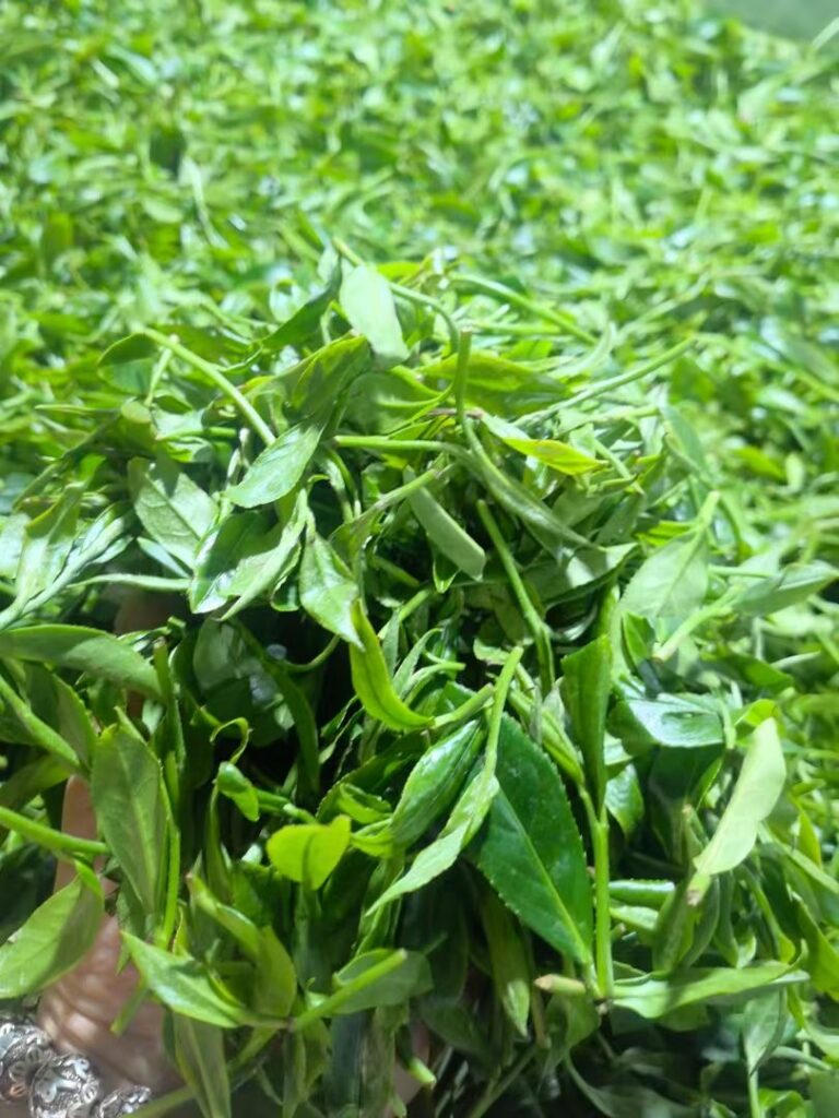 Fengqing Dianhong Black Tea
